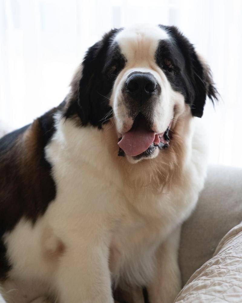 Instagram.com/andreadianbimo